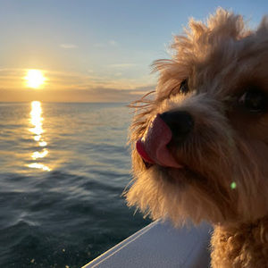 Meet your Posher, Claire